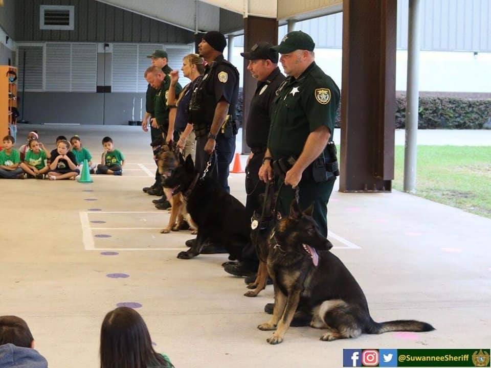 Uniformed deputies with their German Shepherds lined up during a K9 demonstration for children