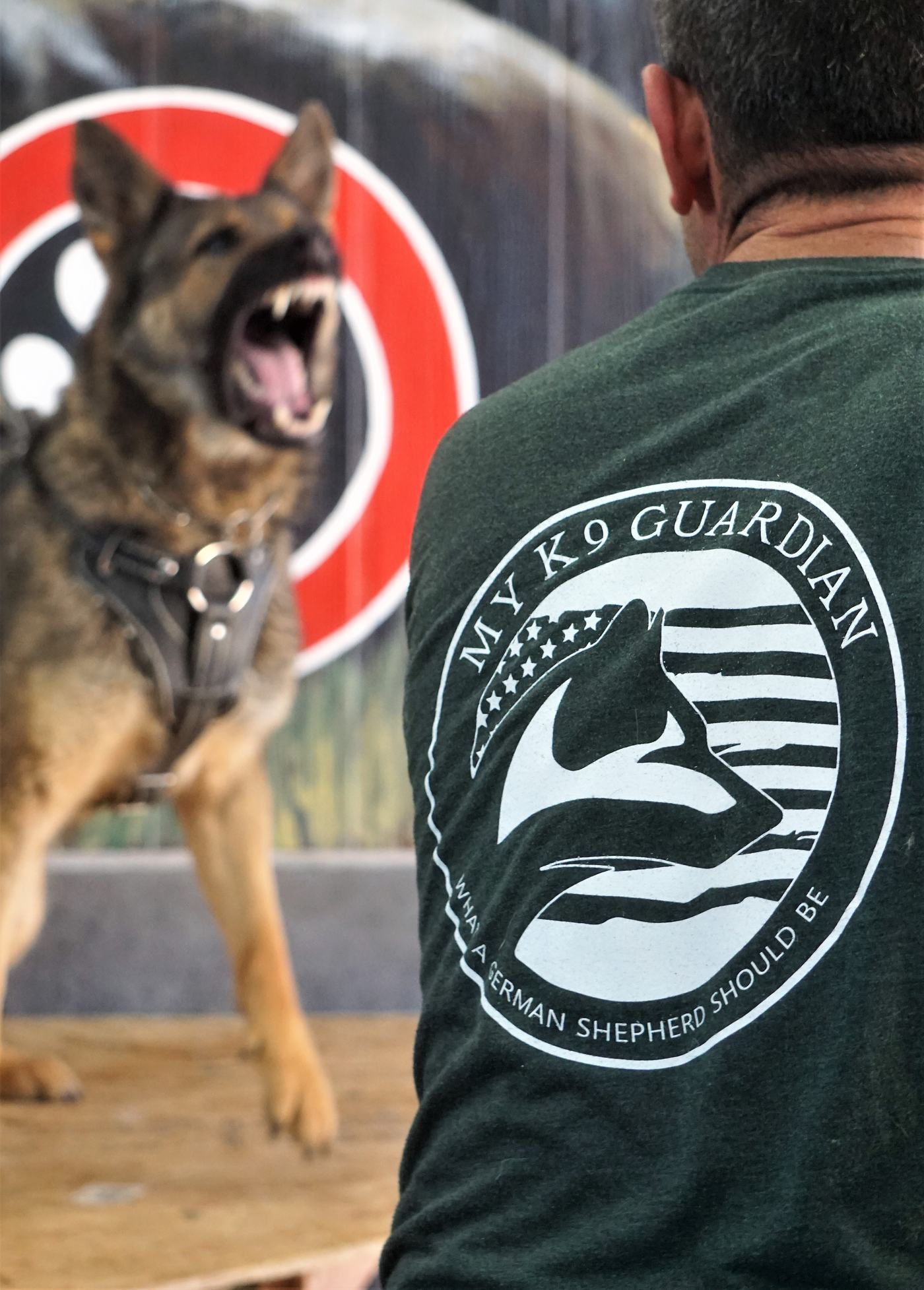German Shepherd engaging a bite target during protection training, My K9 Guardian shirt visible on handler